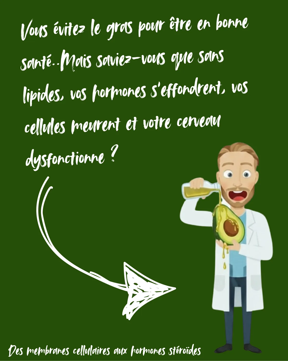 Les Lipides et Leurs Fonctions