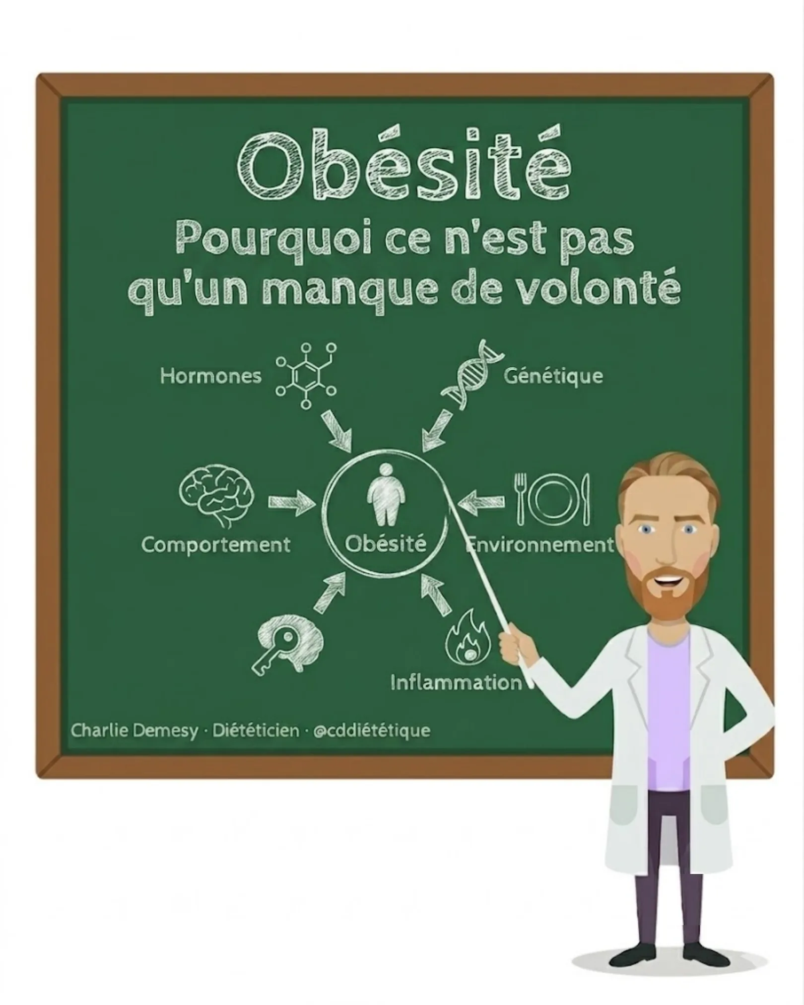 Obésité : pourquoi ce n'est pas qu'un manque de volonté