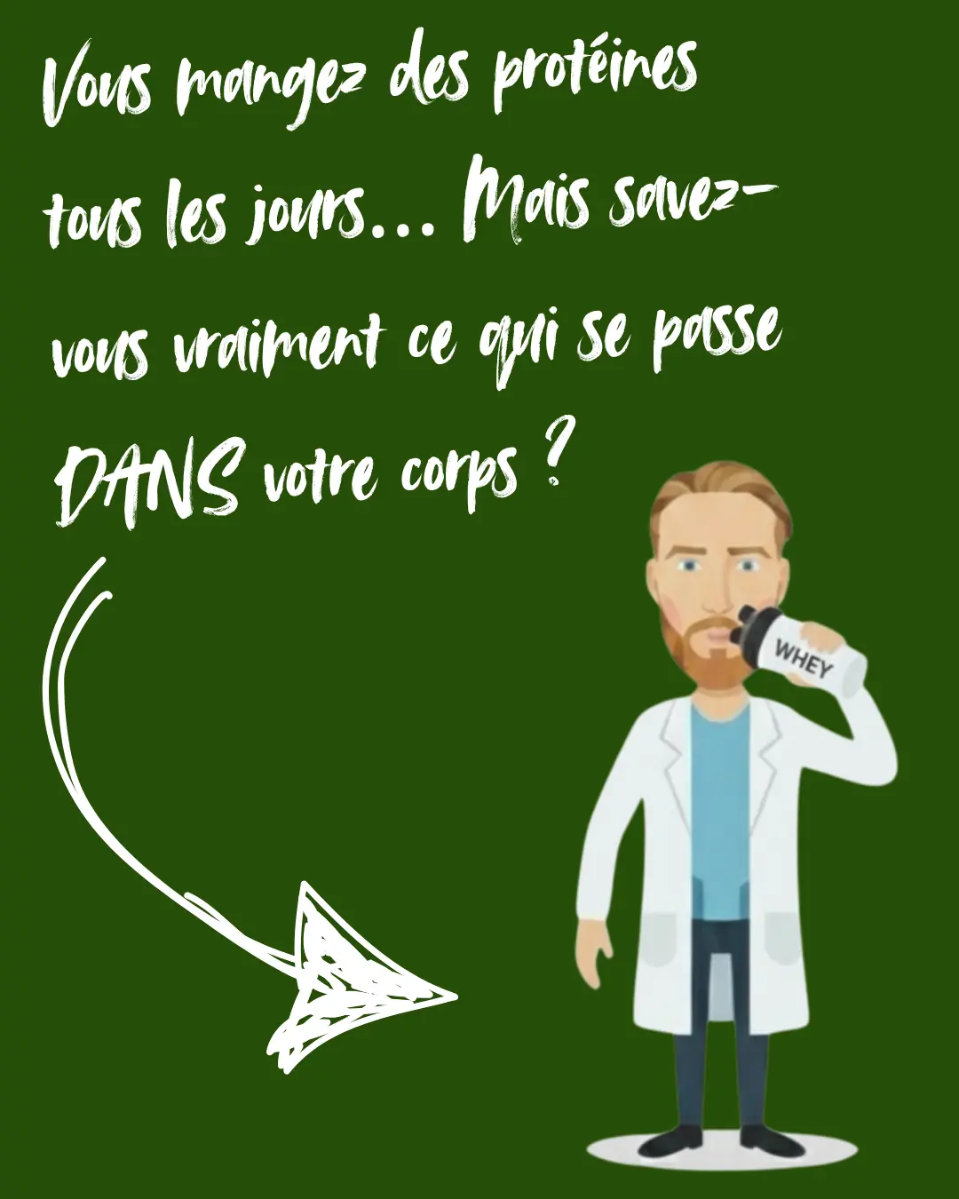 Les Protéines et Leurs Fonctions